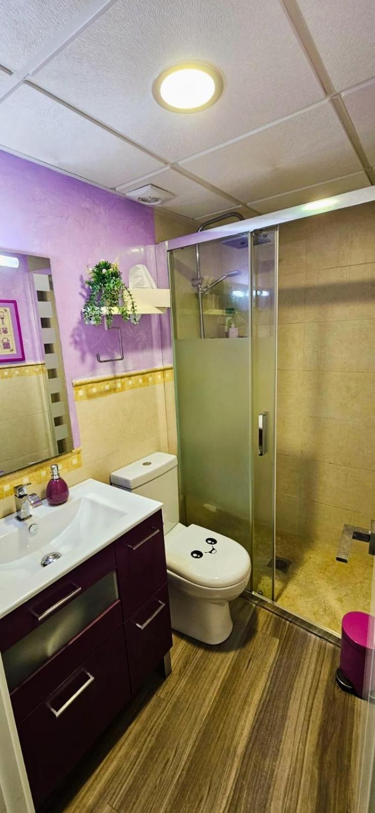 Petit Mansion Juderia Apartment Cordoba